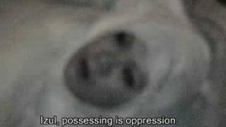 Scary Exorcism Video REAL Part 2 with English Subtitles [upl. by Pineda682]