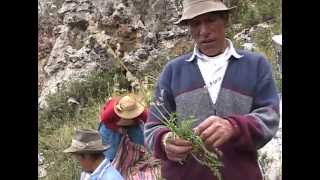 SABIOS DE HUANCAVELICA Gaudencio Huarcaya [upl. by Zzahc]