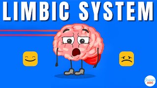 Emotions and the Brain What is the limbic system [upl. by Teodoro]