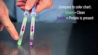 AllerSnap Allergen Prevention Surface Test Instructional Demo [upl. by Anile]