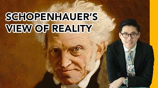 Arthur Schopenhauers View Of Reality  The World As Will And Representation Explained [upl. by Elspet330]