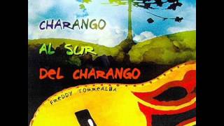 Charango al Sur del Charango Full Album  Freddy Torrealba [upl. by Alrzc]