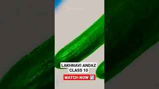 Lakhnavi andaaz class 10 Animated  Watch full video now [upl. by Vatsug]