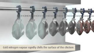 Campylobacter Reduction Rapid Surface Chilling Prototype Tunnel [upl. by Gayelord]