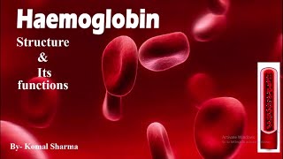 Hemoglobin structure amp its functions  Study MLT [upl. by Say100]