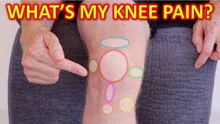 Why Your Knee Hurts Knee Pain Types By Location amp Description [upl. by Yrevi]