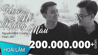 Hoa Nở Không Màu  Hoài Lâm  Acoustic Version [upl. by Damiano]