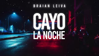 CAYÓ LA NOCHE Remix  La Pantera Quevedo Juseph  Braian Leiva [upl. by Ilime767]