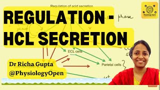 Regulation of gastric acid secretion physiology  Gastrointestinal physiology  GIT MBBS [upl. by Kathleen]