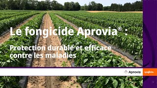 Le fongicide Aprovia®  Protection durable et efficace contre les maladies [upl. by Maag841]