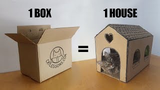 Transform a Simple Box into a Cat House [upl. by Foy]