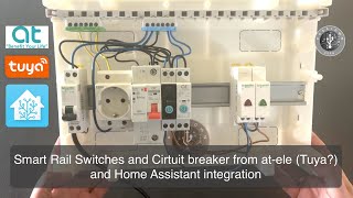 Smart Rail Switches and Circuit breaker from atele Tuya and Home Assistant integration [upl. by Towny]