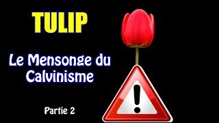 QuestionRéponse 6  Calvinisme Debunké Partie 2  Dernières objections calvinistes réfutées [upl. by Trbor]