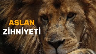 Aslan zihniyeti  Motivasyon Videosu [upl. by Sgninnej765]