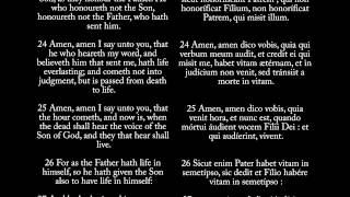 John 5  Audio Bible in Latin amp English of New Testament [upl. by Anilra338]