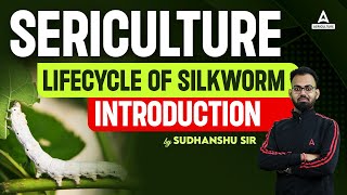 Sericulture  Lifecycle of Silkworm Introduction  Short Concepts of Sericulture  By Sudhanshu Sir [upl. by Bass]