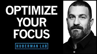 Focus Toolkit Tools to Improve Your Focus amp Concentration  Huberman Lab Podcast 88 [upl. by Basset]