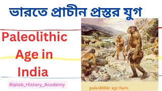 Discuss the main characteristic features of the Paleolithic Age in India video [upl. by Garrett256]