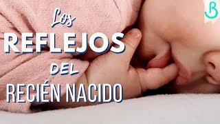 👶🏻👌🏻Los REFLEJOS del RECIÉN NACIDO  Baby Suite by Pau [upl. by Laughlin174]