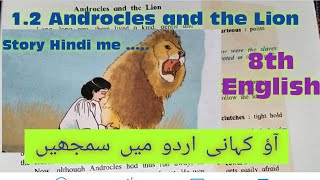 12Androcles and the Lion story in UrduHindistd 8th English مکمل اردو وضاحت کے ساتھ [upl. by Atteloj]