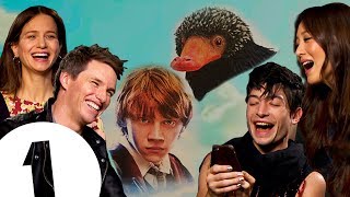 Ron vs The Niffler Who wins The Fantastic Beasts 2 cast on the real star of the series [upl. by Pollitt]