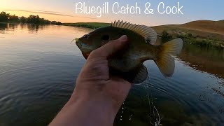 Bluegill Catch and Cook [upl. by Ise]