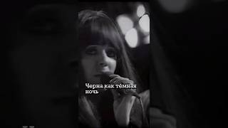 Shocking Blue  Venus  РУССКИЙ ПЕРЕВОД [upl. by Littman]