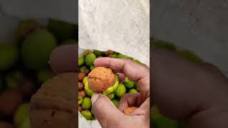 Leepa valley  walnuts [upl. by Ultima]