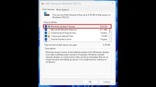 Windows update cleanup not deleting 863GB in Windows 11 24H2 [upl. by Dalli]