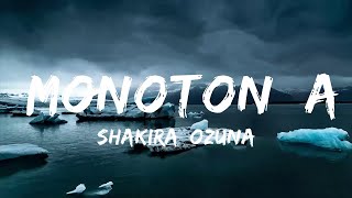 Shakira Ozuna  Monotonía  Music Hight [upl. by Nahgeam]