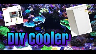 HOW TO DIY Aquarium Chiller Cooler [upl. by Dugald]