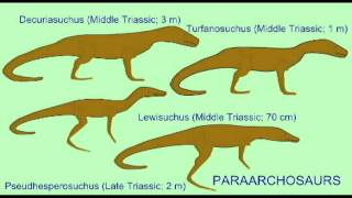 PL EXAM 2 THECODONT DESCENDANTSavi [upl. by Ardnusal]