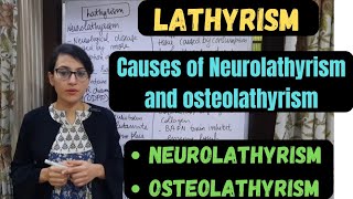 Lathyrism  Neurolathyrism  Osteolathyrism  Causes of Neurolathyrism and Osteolathyrism [upl. by Freeborn]