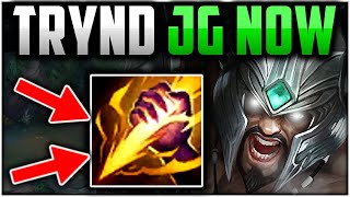 TRYNDAMERE JUNGLE IS SPICY NOW👌 Best BuildRunes  Tryndamere Jungle Beginners Guide Season 13 [upl. by Atikahc840]