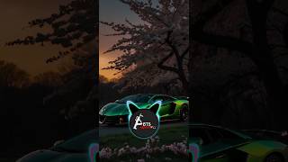 Use handphone 🎧🎧 car bass boosted music 🎶 4k video shorts aveeplayerbass bassboosted [upl. by Grados]