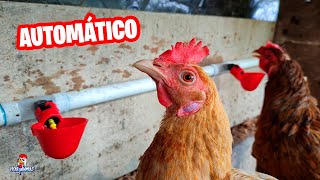 Cómo instalar BEBEDEROS AUTOMÁTICOS para gallinas 🐔🐓 Crea tu Propio Sistema Automatizado [upl. by Marienthal]