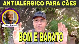 ANTIALÉRGICO PARA CÃES BOM E BARATO [upl. by Sanders893]