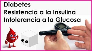 Diabetes InsulinaResistencia e Intolerancia a la Glucosa [upl. by Abbottson]