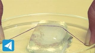 Length of string sinks into ice due to regelation  Pressure  Physics [upl. by Naves]