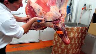 Part 1  How to bone a Forequarter of beef demonstration by Master Butcher Michael Cross [upl. by Olpe301]