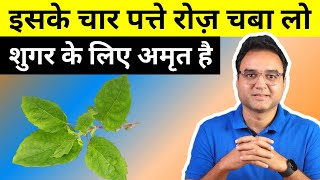 Diabetes Control Tips Lower Your Blood Sugar In 90 Days With This Amazing Ayurvedic Herb [upl. by Estey]