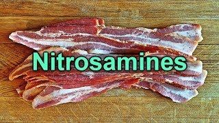 Salt Cures and Vegetable PowdersPart 4 Nitrosamines [upl. by Anastasius]