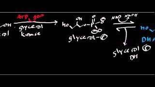 Dextrose Facts Is Dextrose The BEST Carb Powder [upl. by Piper856]