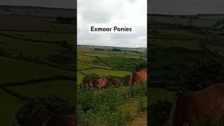 Exmoor National Park [upl. by Haugen]