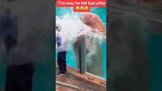 Manatee Splashes Water On Kid And Regrets virtuosemuet whale funny water [upl. by Anehsat]