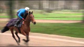 Présentation de lhippodrome et du Centre d’Entraînement de MaisonsLaffitte [upl. by Kreager]