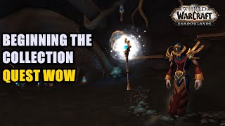 Beginning the Collection Quest WoW [upl. by Priest]