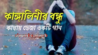 kangalinir bondhu tumislowed x reverb lofi music nishite aiso go bondhu নিশিতে আইসো গো বন্ধু [upl. by True]