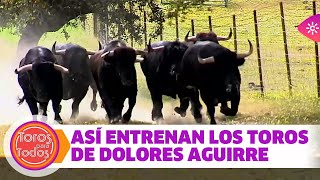 Impresionante carrera de fondo de los toros de Dolores Aguirre [upl. by Enilegnave]