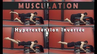 Hyperextension Inversée pour des fesses fermes et toniques [upl. by Akinihs]